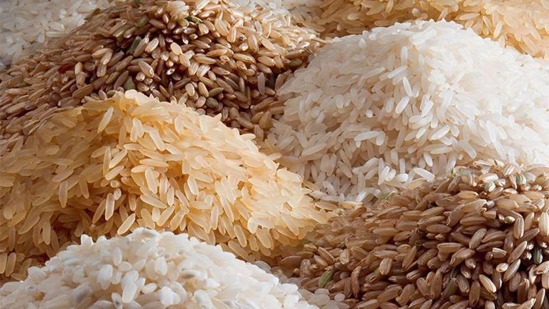 разные сорта риса